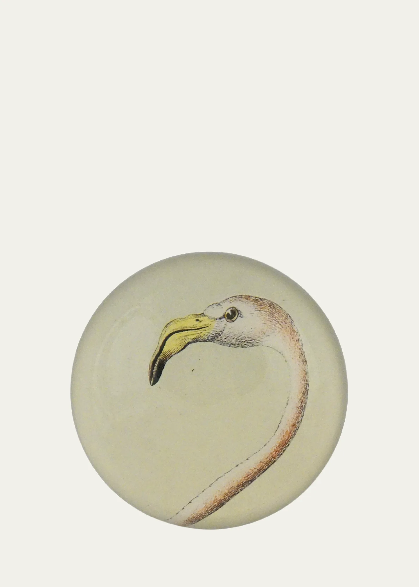 Flamingo Dome Paperweight