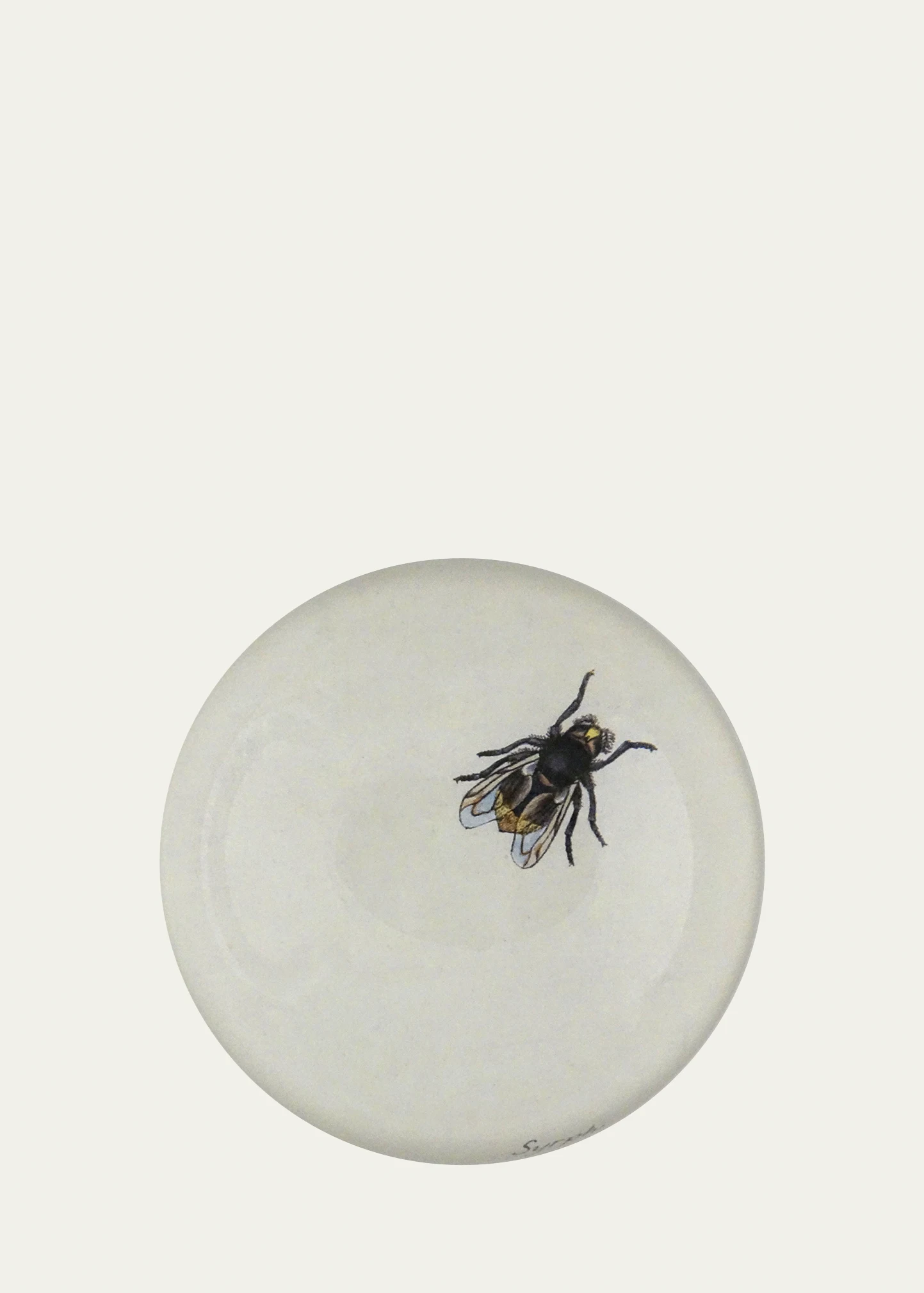 The Fly Dome Paperweight 2 The Fly Dome Paperweight