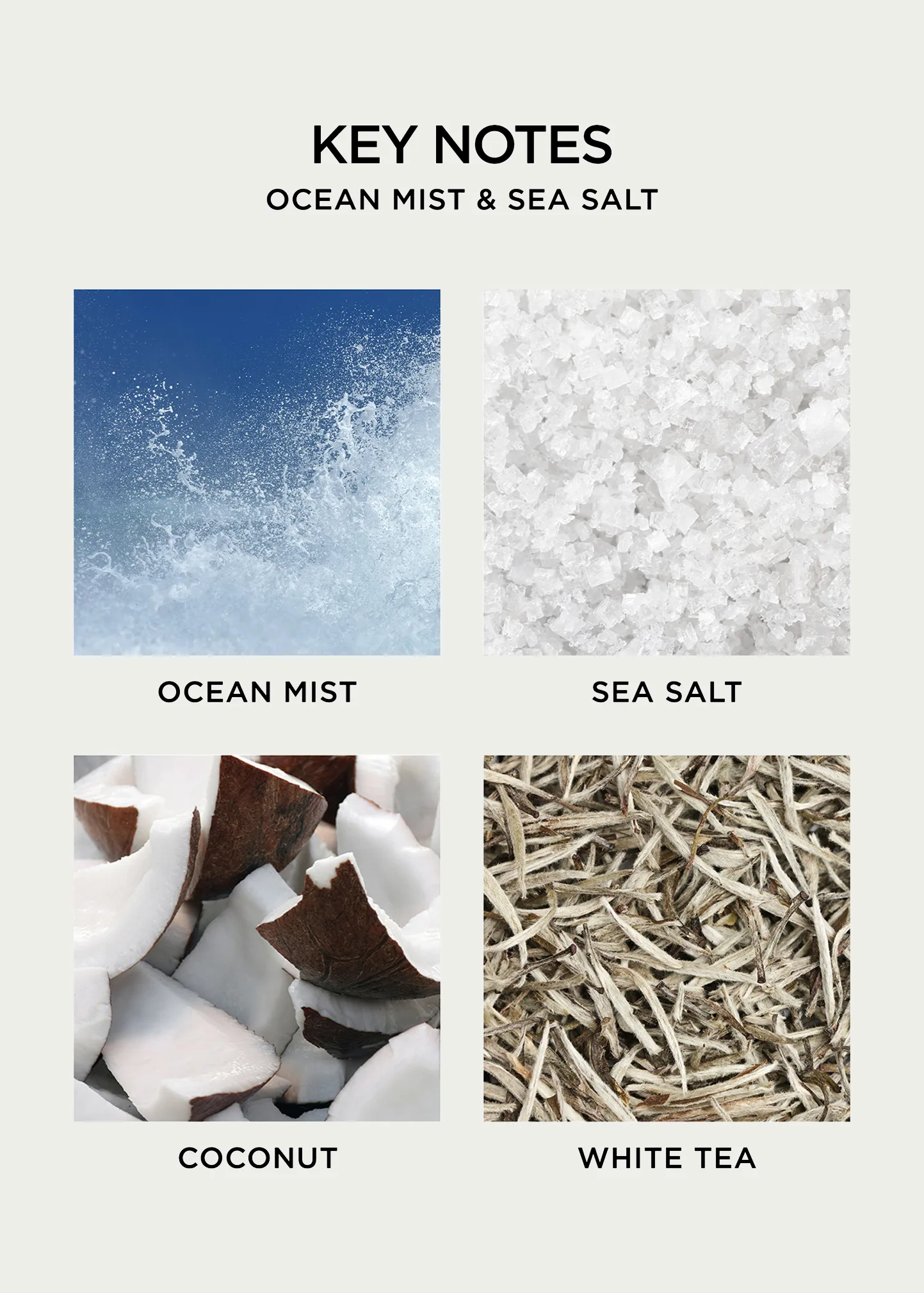 Ocean Mist And Sea Salt Wall Diffuser Refill 10 Ocean Mist And Sea Salt Wall Diffuser Refill