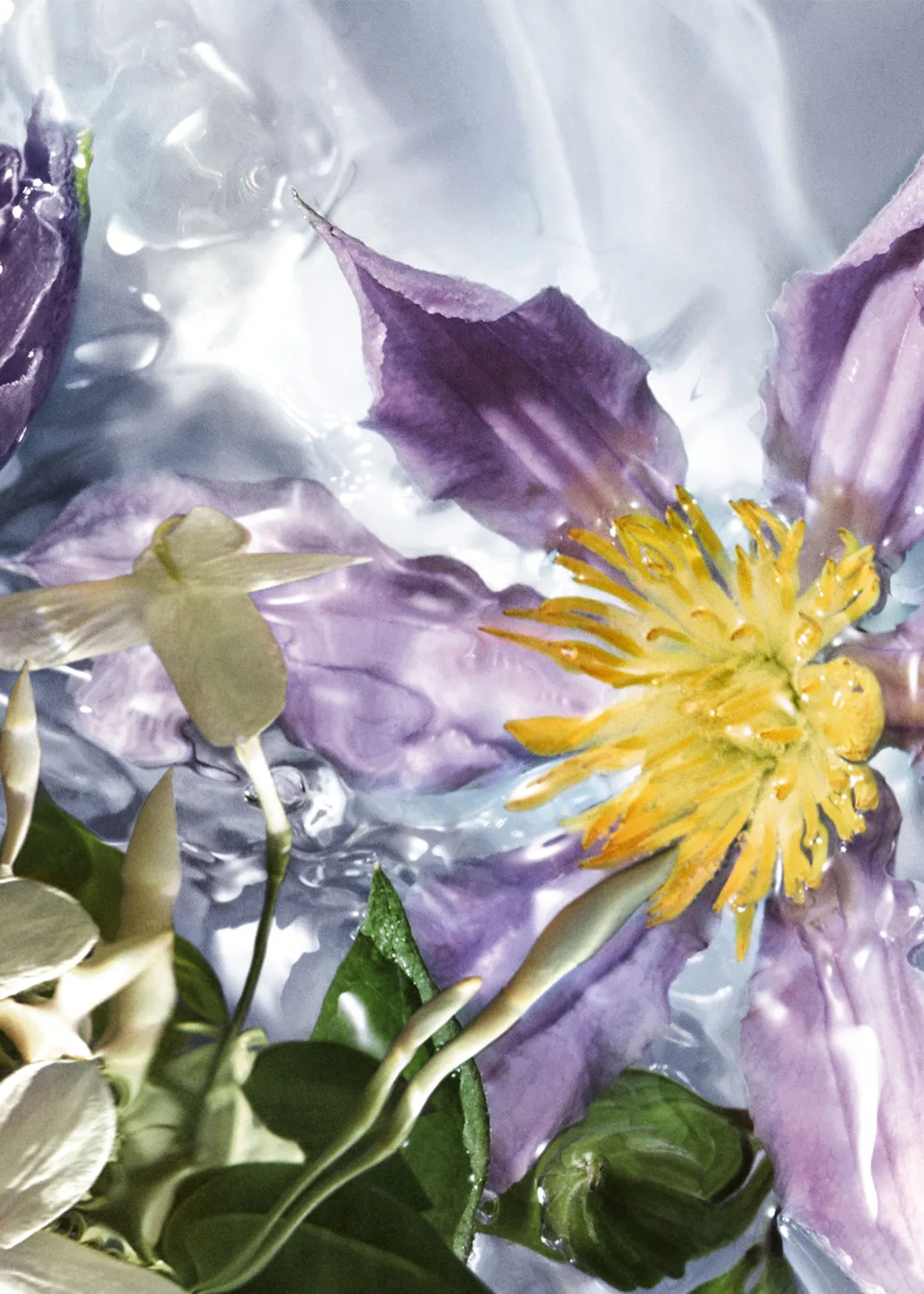 Aqua Allegoria Flora Salvaggia Wildflower Eau de Toilette, 2.5 oz.