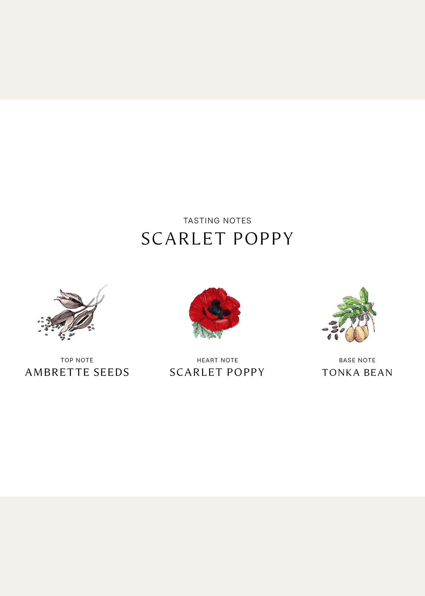 Scarlet Poppy Cologne Intense, 1.7 oz.