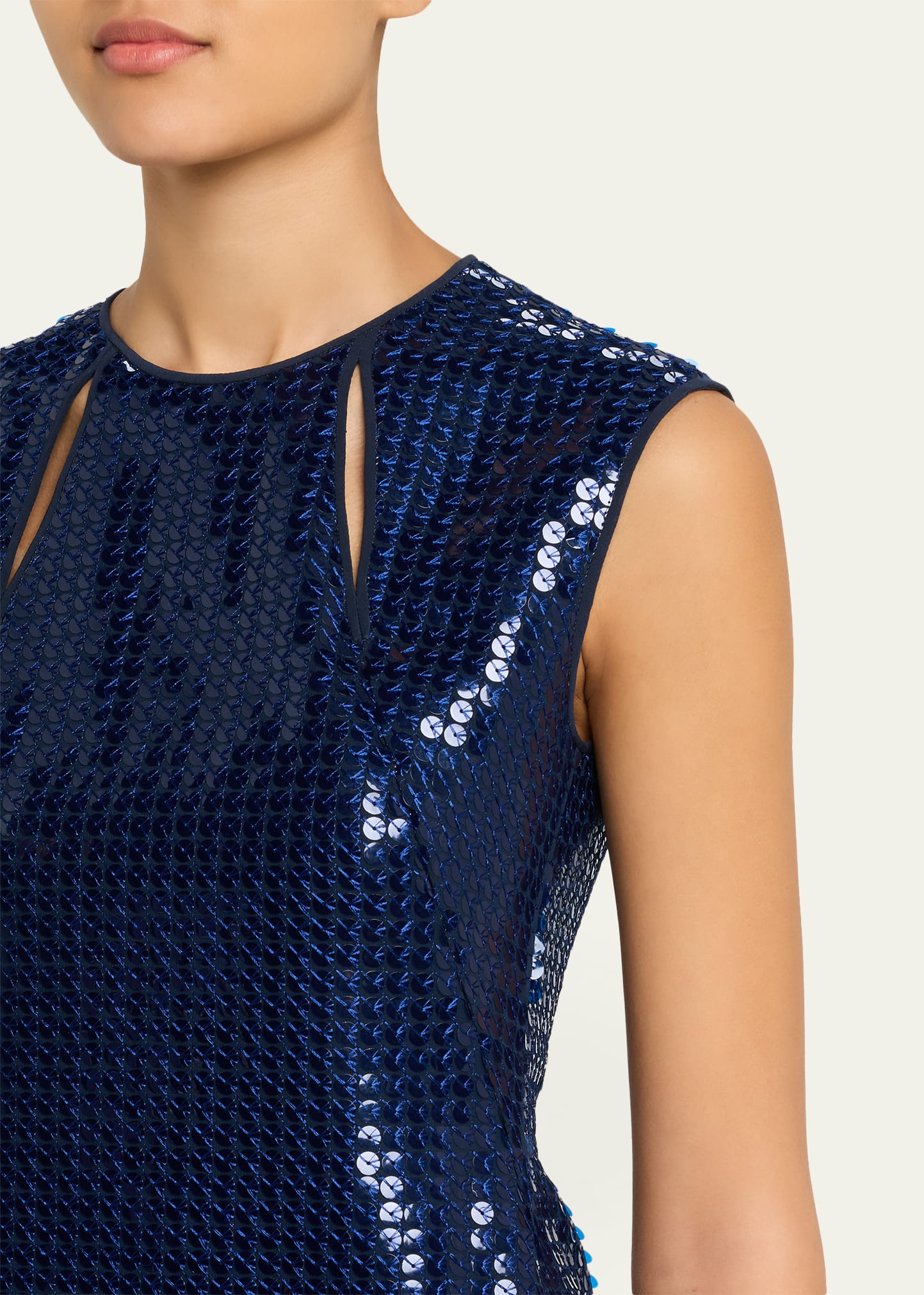 Corded Sequin Chiffon Midi Sheath Dress